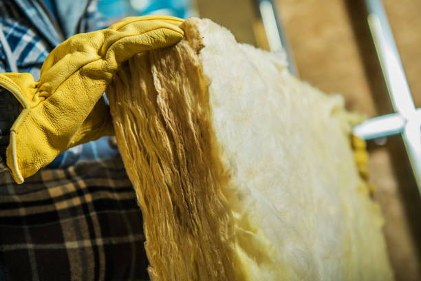 Best Insulation Repair Services  in Hutto, TX