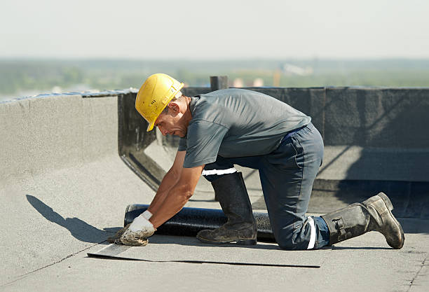 Best Cellulose Insulation  in Hutto, TX
