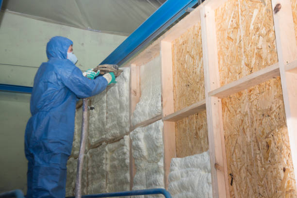 Best Insulation for New Construction  in Hutto, TX
