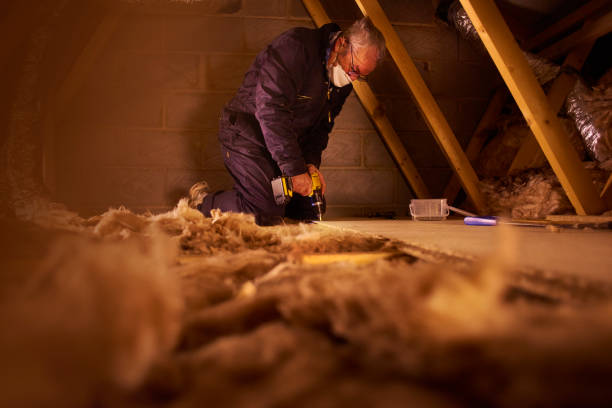 Attic Insulation Near Me in Hutto, TX