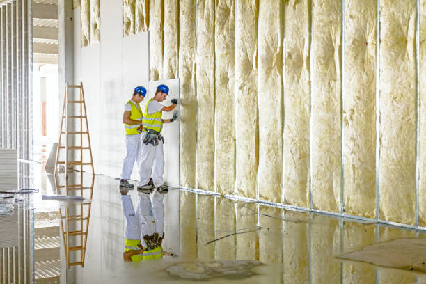 Best Insulation Removal  in Hutto, TX